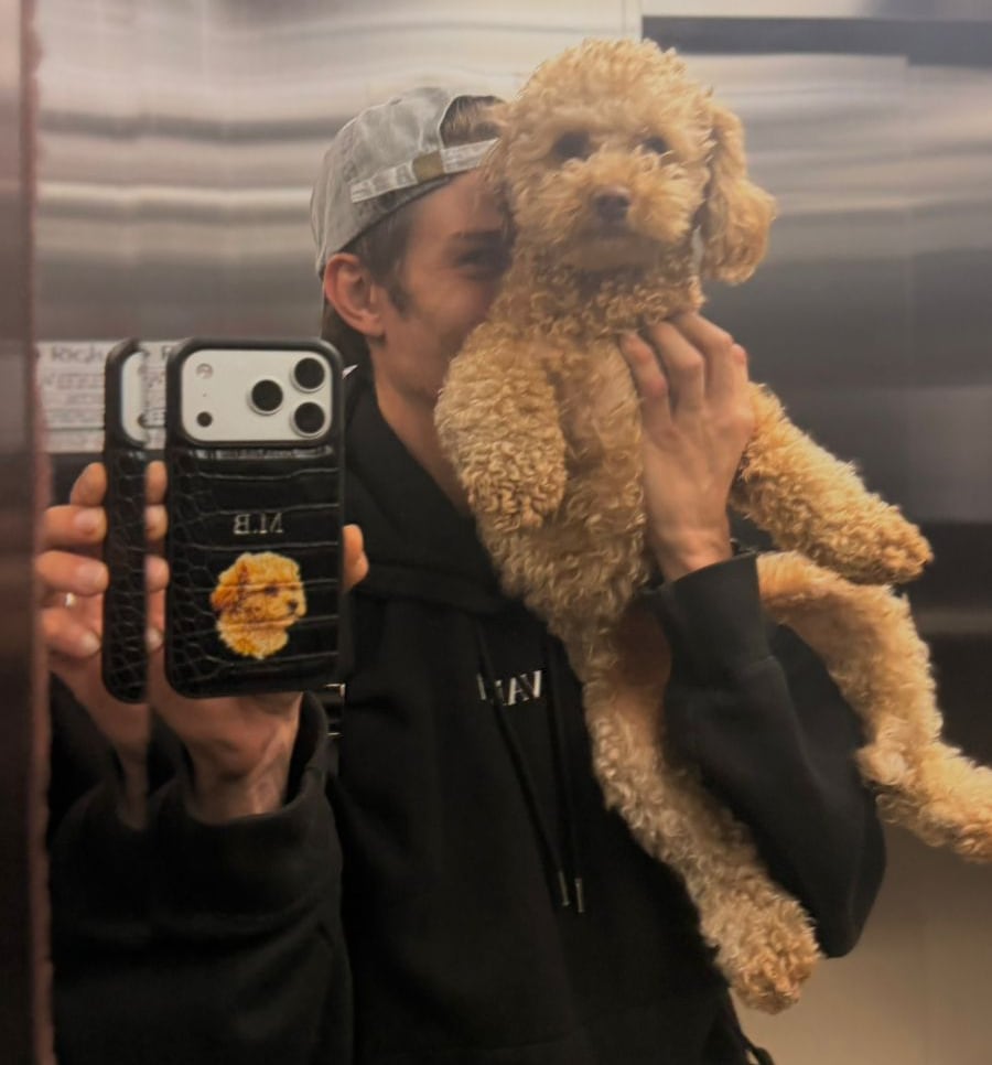 Mattia Masanes Bulli