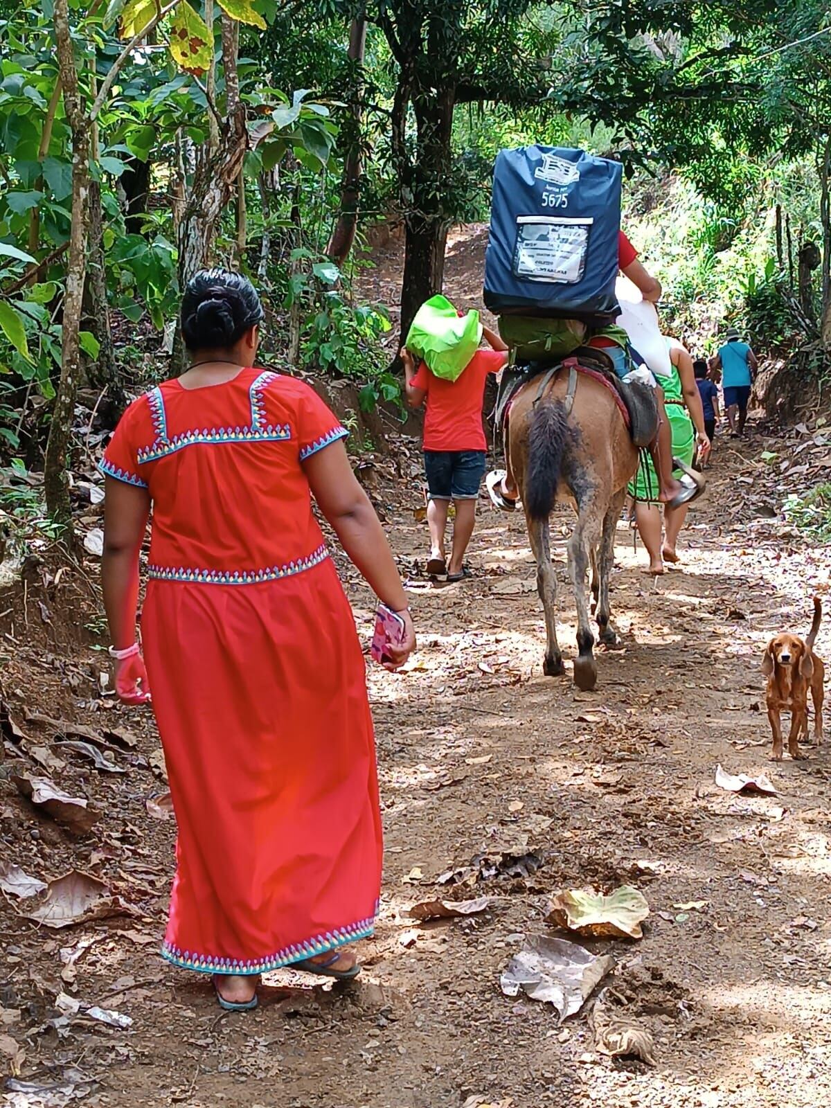 El importantísimo voto indígena estará representado por 42.619 personas con derecho a voto: 22.250 hombres y 20.369 mujeres