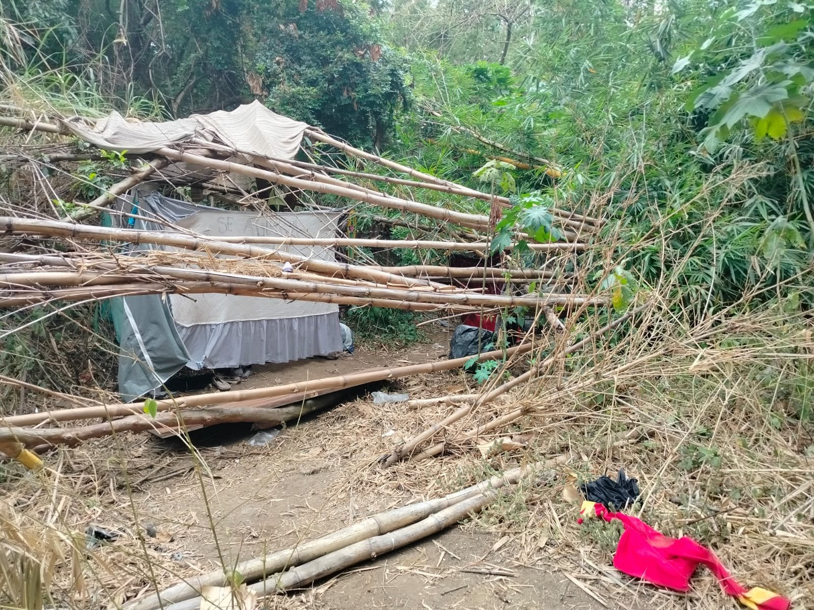 Una fotografía evidenció una preocupante realidad en San José: el ofrecimiento de espacios insalubres conocidos como covachas. Foto: Marcelo Solano