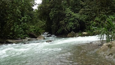 Pozas, senderos y naturaleza por ¢3.500 en La Marta, un refugio natural a dos horas de San José