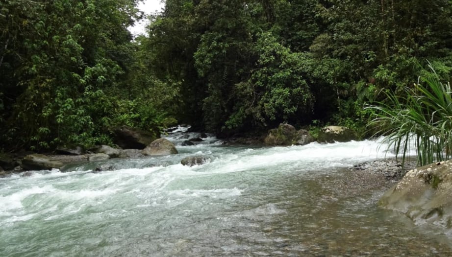 La Marta - Refugio de Vida Silvestre