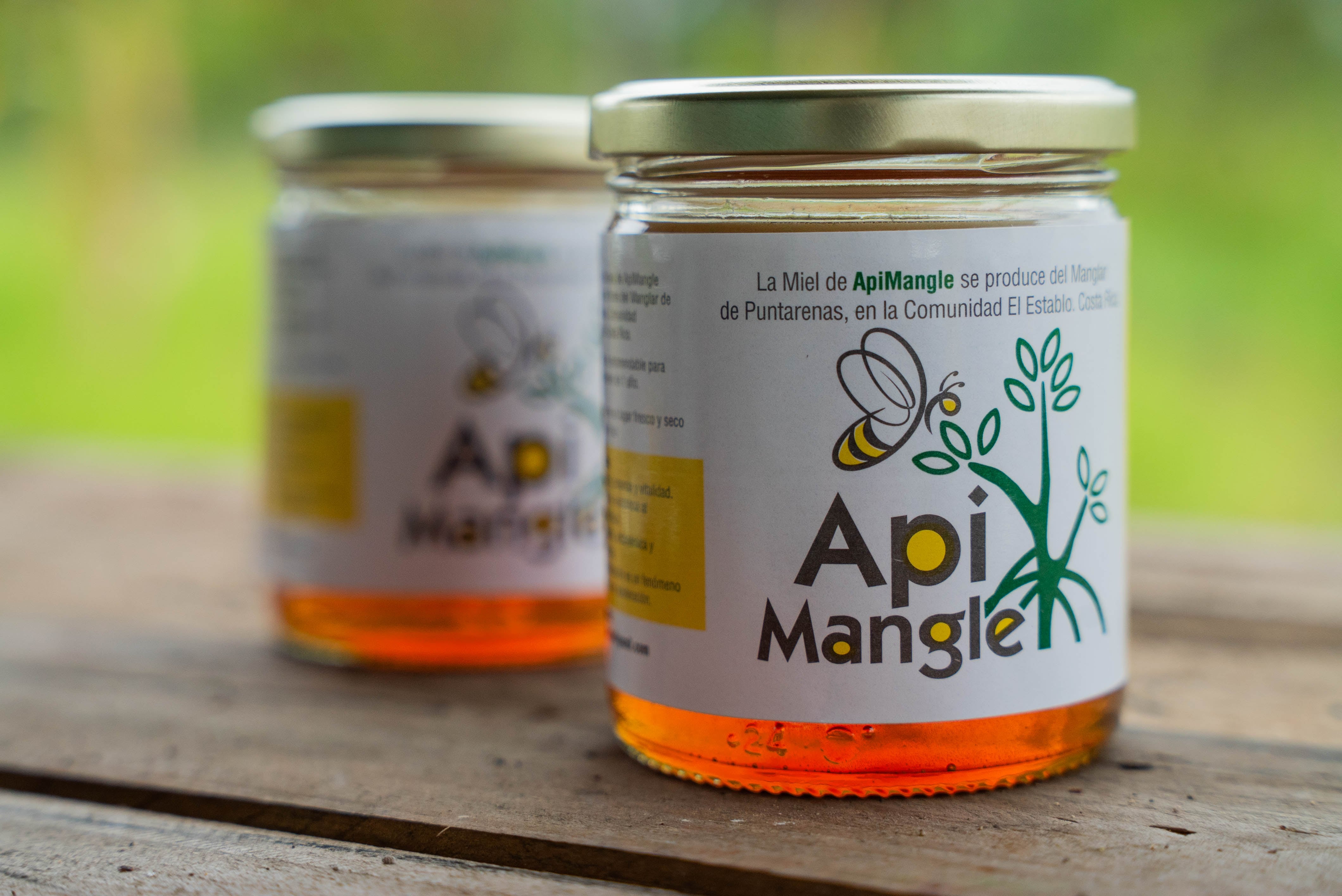 Familias puntarenenses pasaron de no saber nada sobre abejas a un emprendimiento único en Costa Rica, ApiMangle, que protege el manglar y genera ingresos con miel y tours educativos.