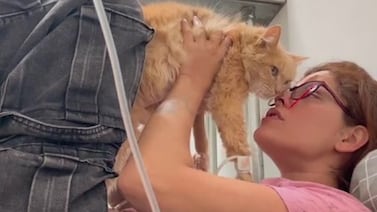 Majo Ulate no recogió de su casa esto de su gato fallecido y la razón lo sorprenderá