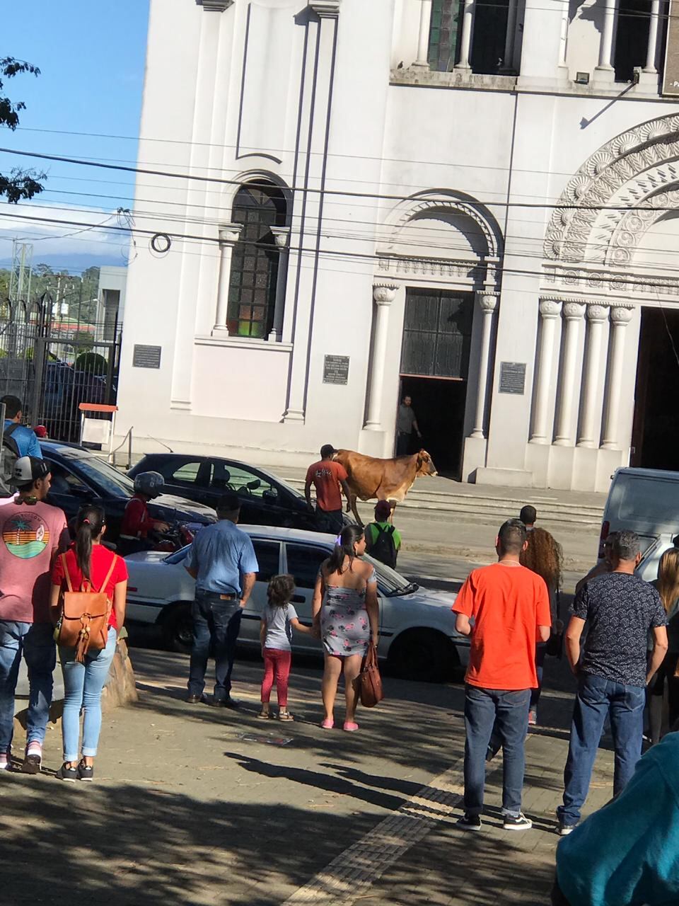 Alvaro Zamora comentarista taurino