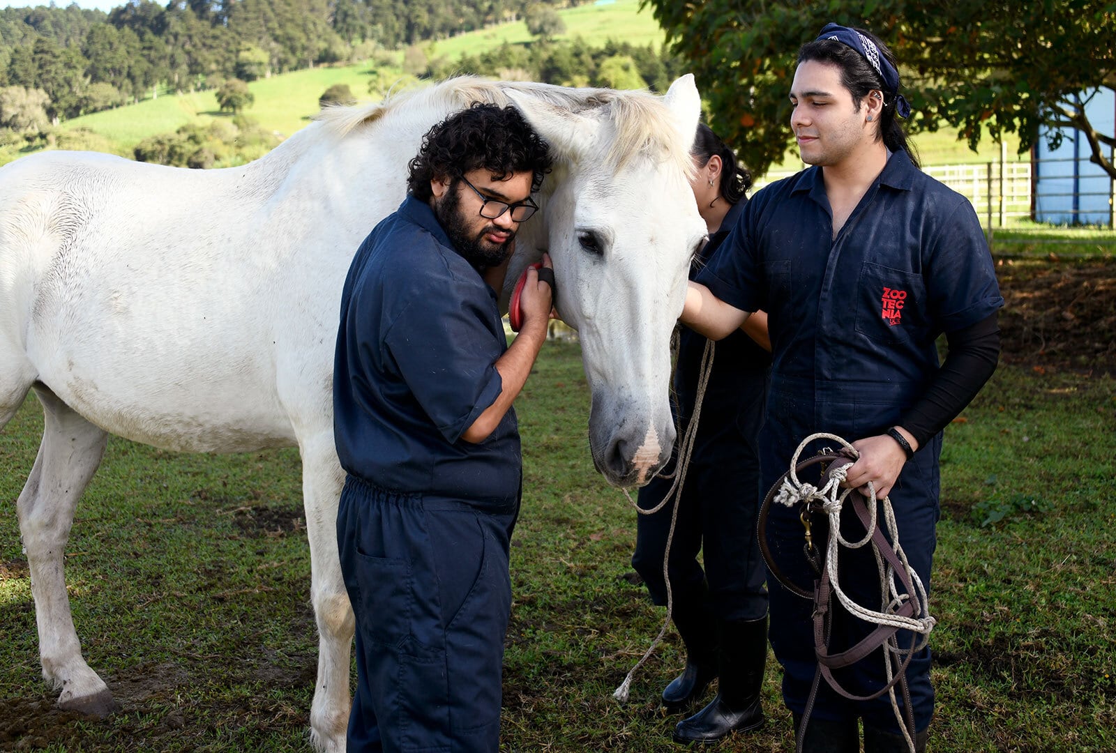 El vínculo que se crea entre los caballos y los estudiantes durante las sesiones de habilidades y destrezas les ayuda a éstos últimos a ganar confianza y seguridad en sí mismos.