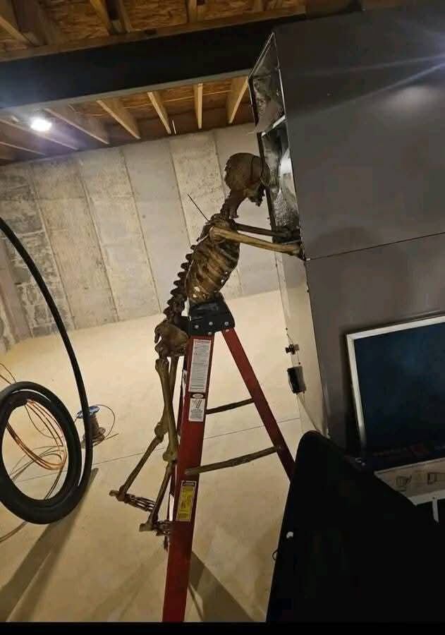 मोनुडो आणि जांभळ्या डाव्या मेम्स दरम्यान अंतिम