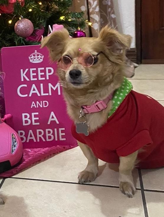 pelando el Ojo Sebastián López