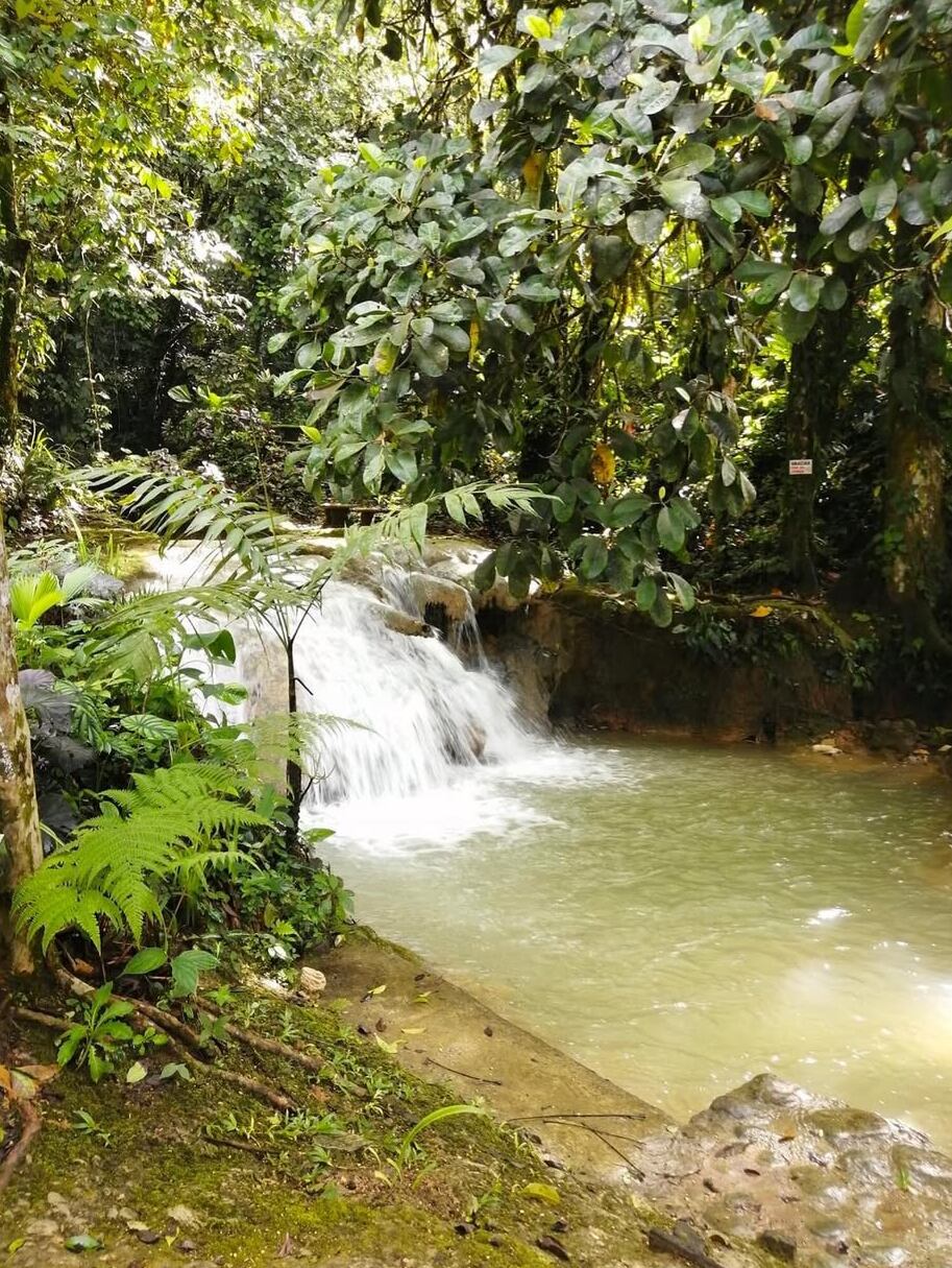 Disfrute de 20 cascadas en un mismo tour que lo atrapará con sus espectaculares vistas.