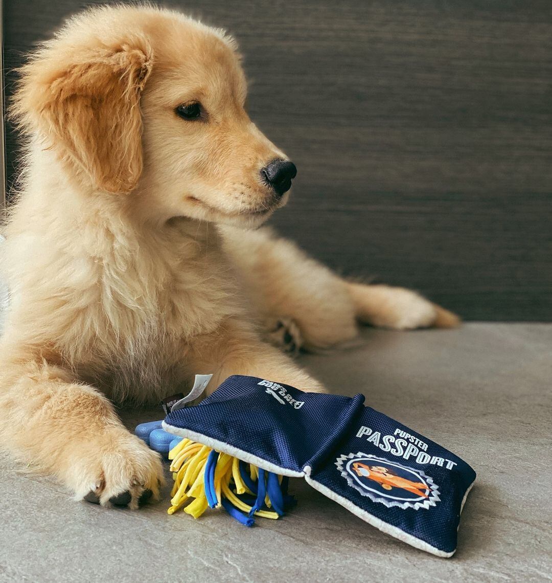 María Gonzálezz y su perro Gianluigi al que le dice de cariño Gigi.