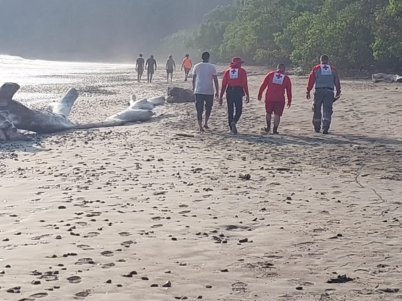 Búsqueda y rescate de ahogado en playa por parte de Cruz Roja, en Nandayure, Guanacaste