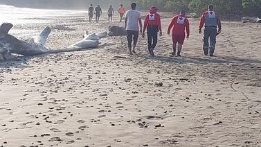 Aguas del Pacífico devolvieron cuerpo de muchacho alemán