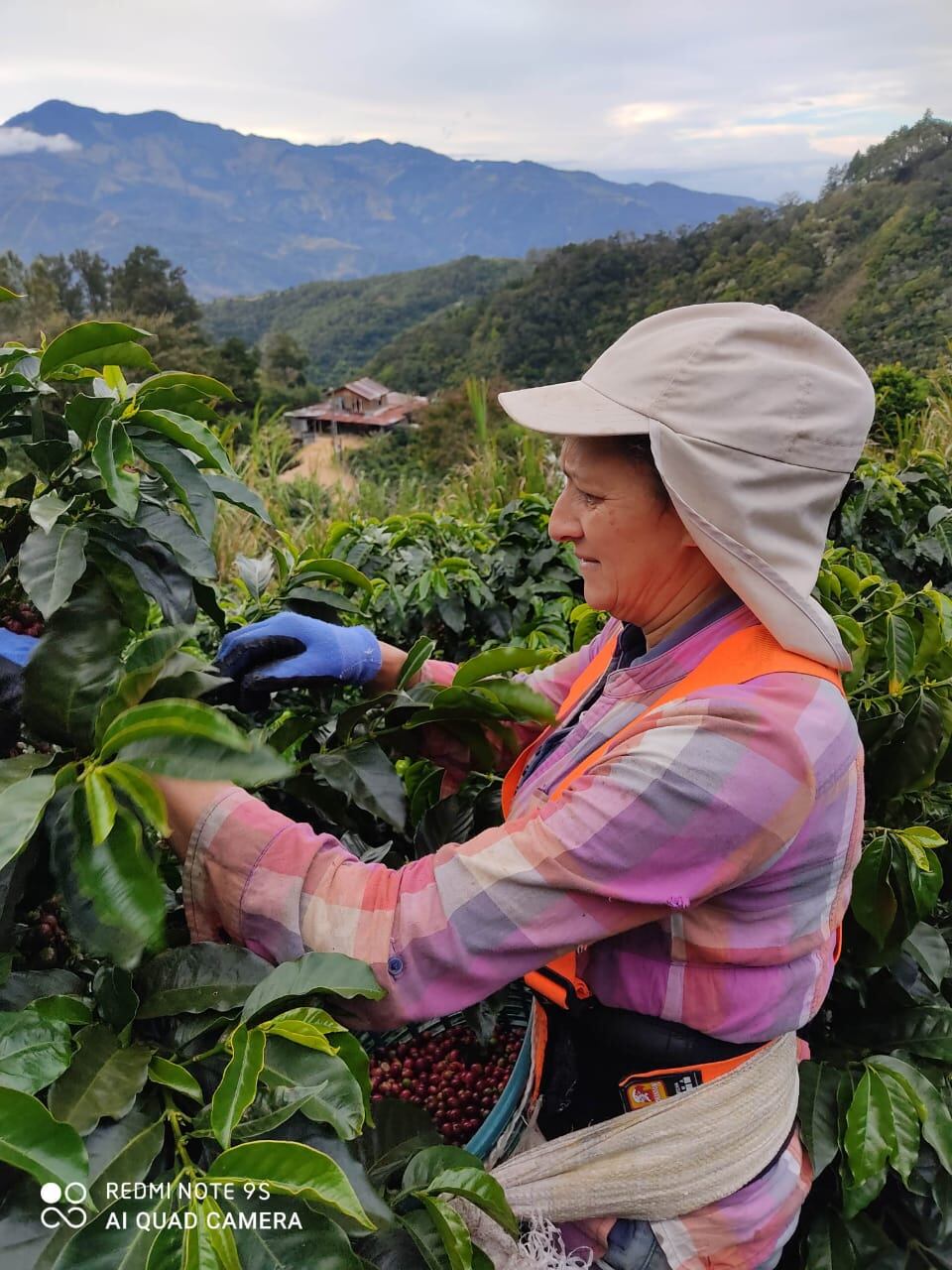 Ana Jiménez Castro es una cafetalera de Aserrí. Se metió de cabeza con el tema del café hace seis años y jamás imaginó que el cafecito que ella con tanto amor produce llegaría a las manos del papa Francisco