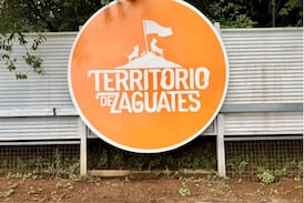 Indignación en Territorio de Zaguates: denuncian muerte de dos perros rescatados