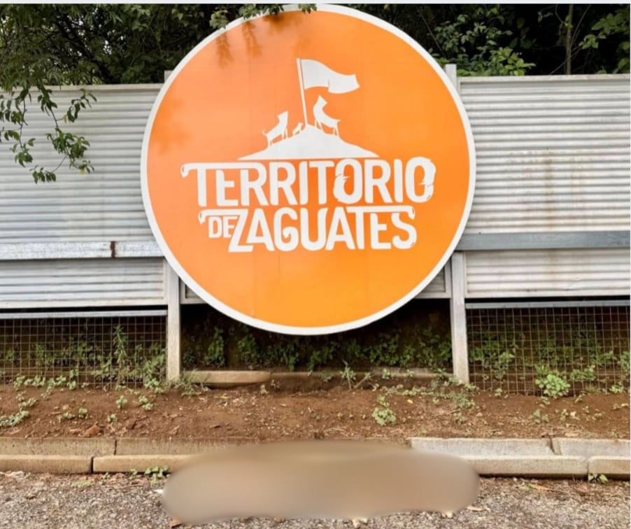 Dos perritos de Territorio de Zaguates fueron aparentemente envenenados
