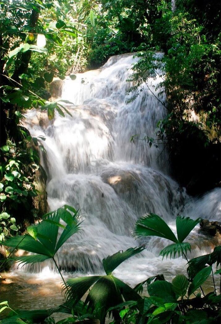 Disfrute de 20 cascadas en un mismo tour que lo atrapará con sus espectaculares vistas.