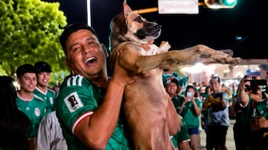 Mujer encontró a su perrita desaparecida gracias a los festejos por la victoria de México en el Mundial 2026