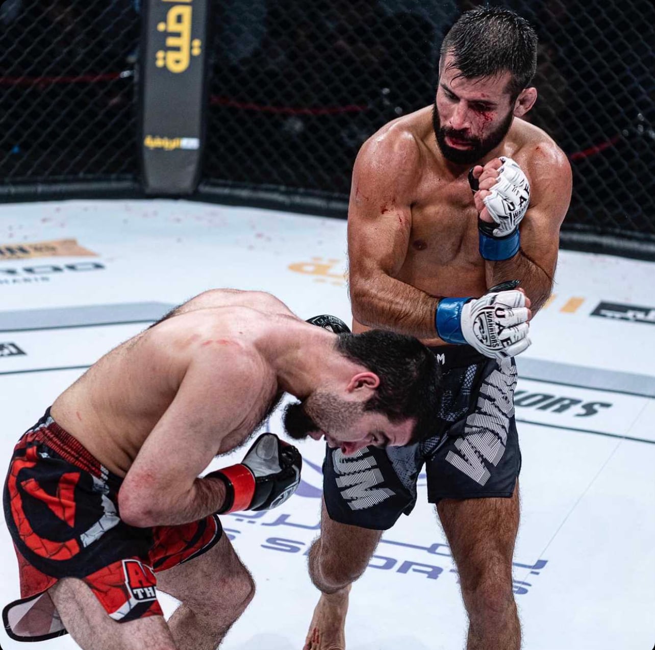 Wálter 'Burro' Zamora, UFC, MMA