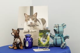 Más allá de la muerte: en Sao Paulo, las mascotas pueden ser sepultadas con sus amos