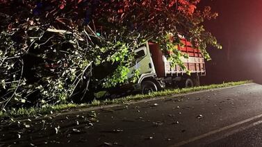 Mujer que viajaba en camión pierde la vida tras violento choque contra árbol en San Carlos