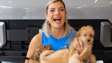 Zaguatón del Día del Perro: Hay 2.400 perritos que ocupan su ayuda para no pasar hambre