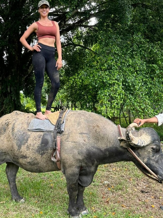 Shakira Shedden es la hija de Gilberto Shedden conocido como "Chito" quien domesticó al cocodrilo Pocho el cual murió el 12 de octubre del 2011. Shakira ahora doma búfalos y es reina de belleza.