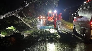 Motociclista sufre horrible muerte al ser aplastado por árbol en Guanacaste