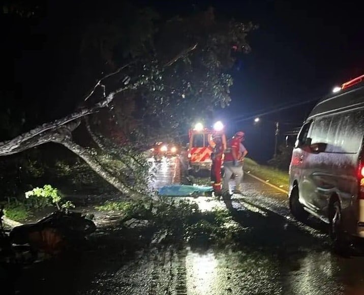 El motociclista murió de forma inmediata tras ser golpeado por el árbol. Foto Facebook.