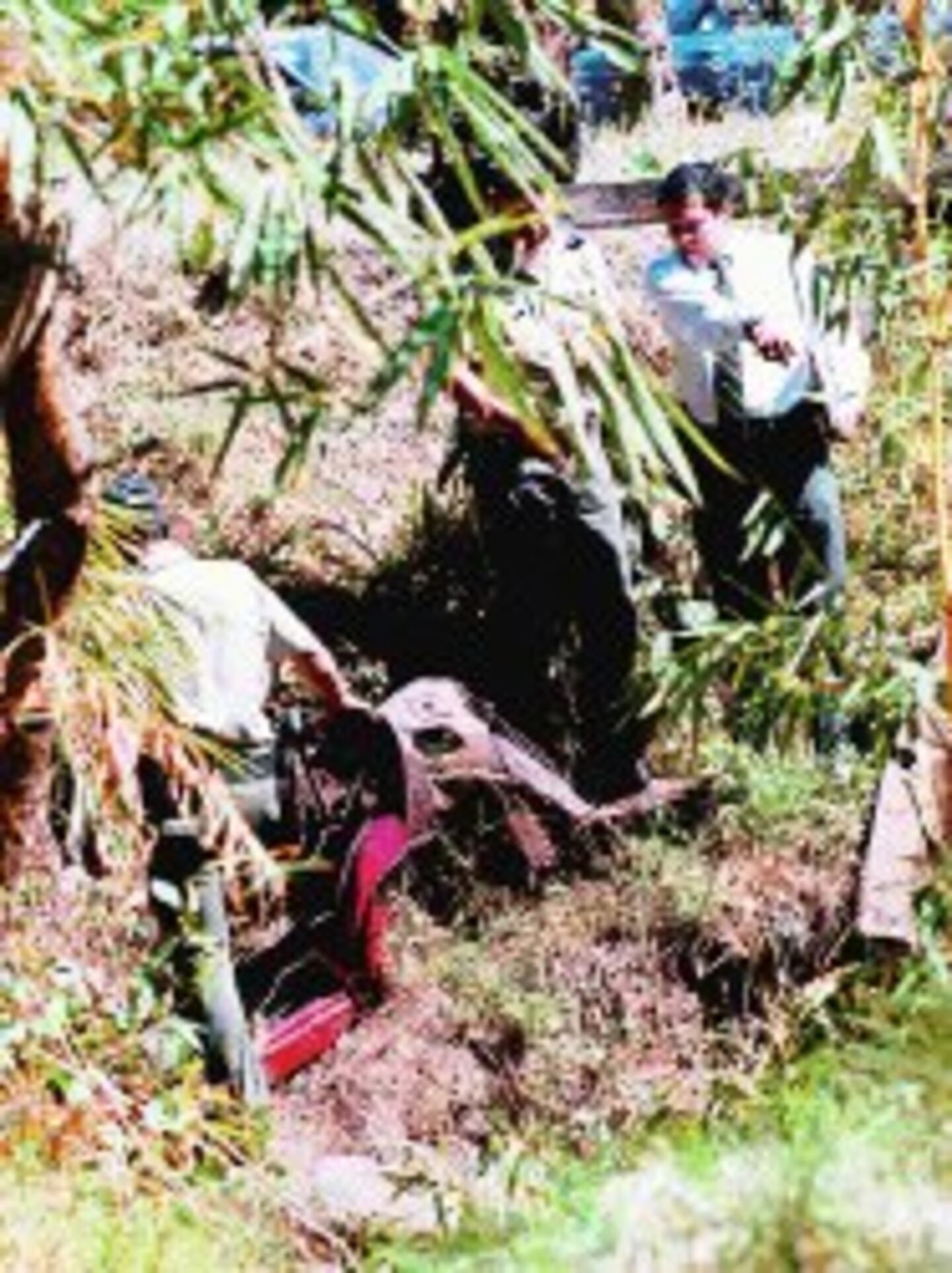 Caso del Descuartizador. Foto Archivo.