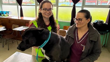 Negro, el primer perro rescatado cerca de la basílica de Cartago, busca adopción tras recibir atención
