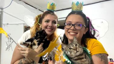 Mujeres buscan un donador de esperma para ser mamás y se tiraron a la calle para encontrarlo