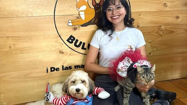 Benji y Agatha, los modelos de cuatro patas que se robaron las miradas con sus disfraces de Halloween