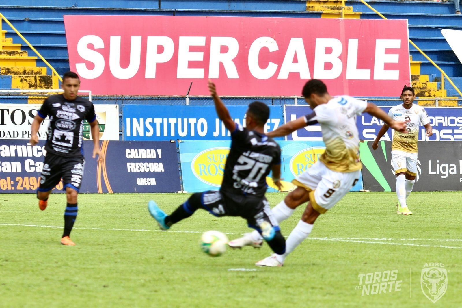 Grecia - San Carlos. Prensa San Carlos.