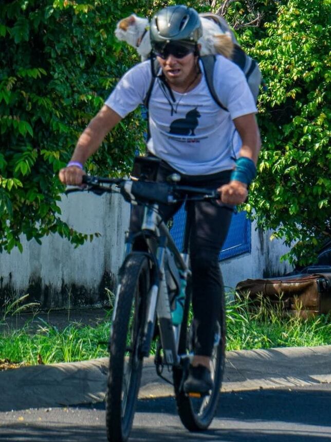 Bruno no es un gato cualquiera. Este peludito coronadeño, de un año y siete meses, es toda una celebridad felina, deportista de hueso (o garra) colorado y tan carismático que en redes sociales lo siguen como si fuera influencer. Su papá humano, Diego Zamora Jiménez, de 38 años y vecino de San Antonio de Coronado, fue quien sin saberlo desató esta aventura.