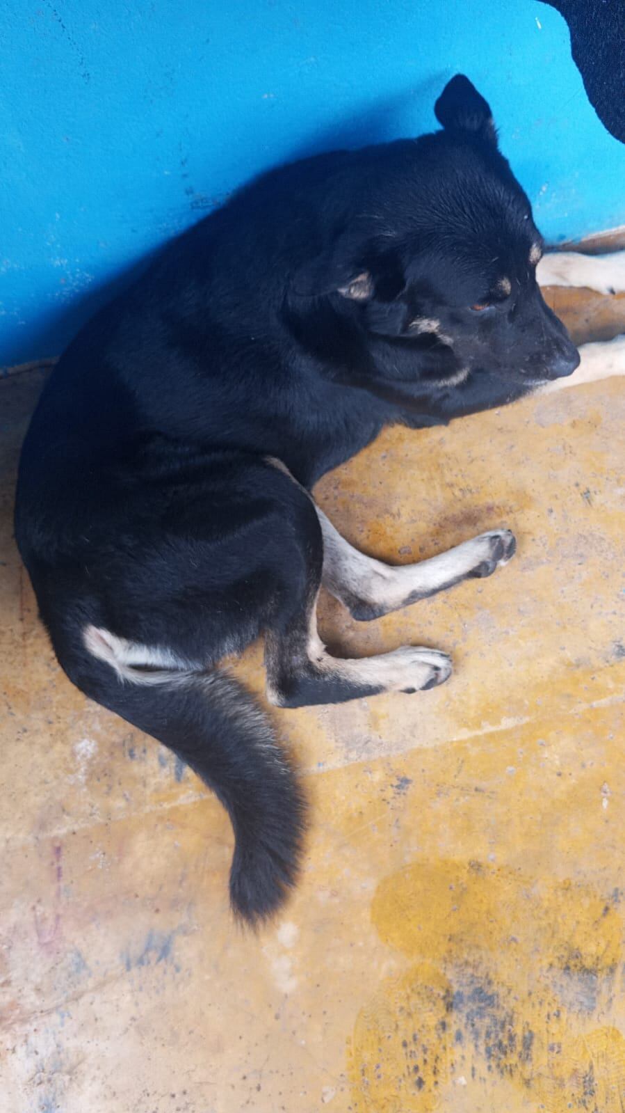 Ronald Esquivel está desaparecido desde la tarde del pasado sábado en La Fortuna de Bagaces. Foto Andrey González para La Teja.