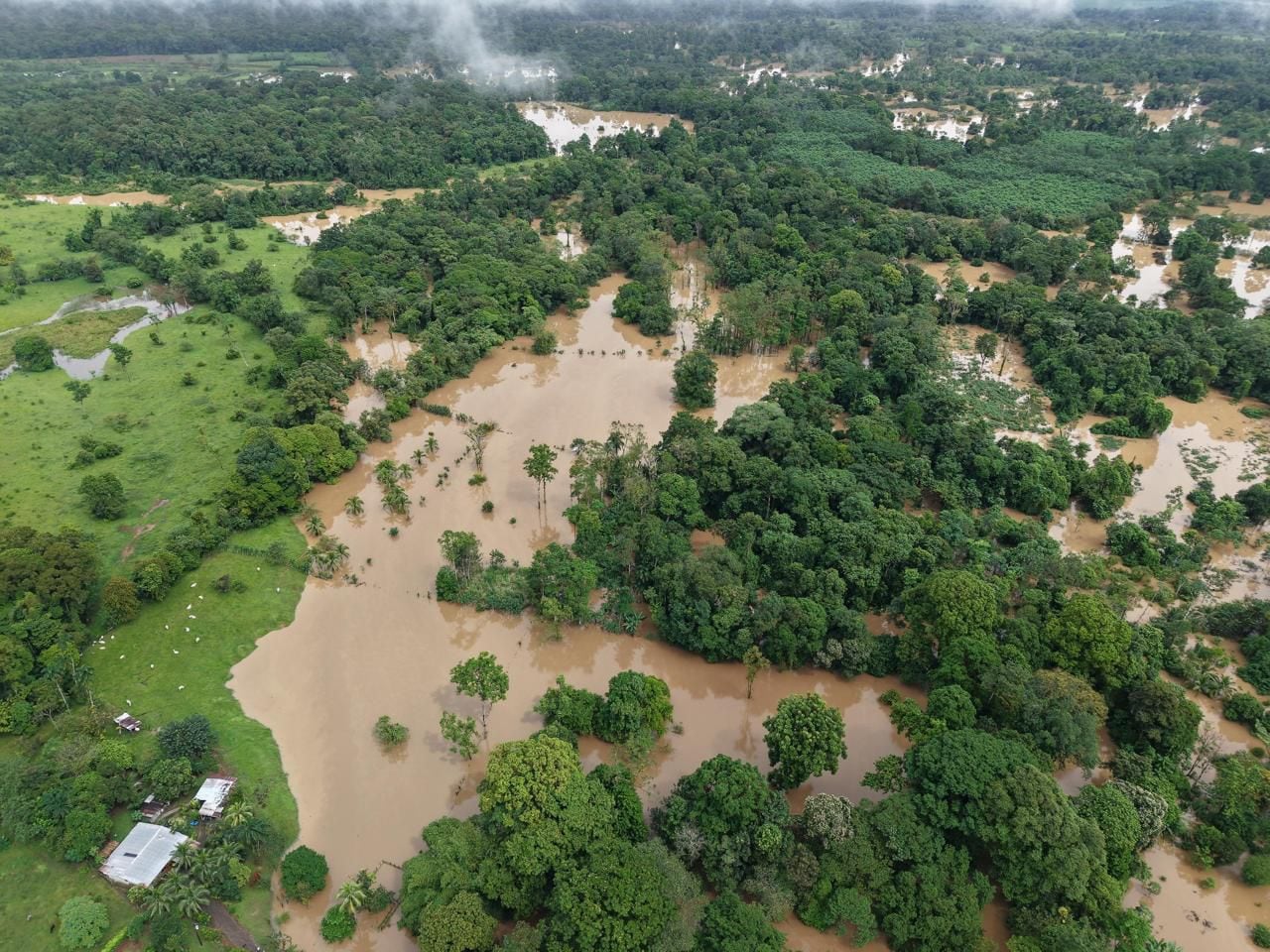 Suelos completamente saturados en Sarapiquí debido a las consecuencias del frente frío #3. Foto: Bomberos
