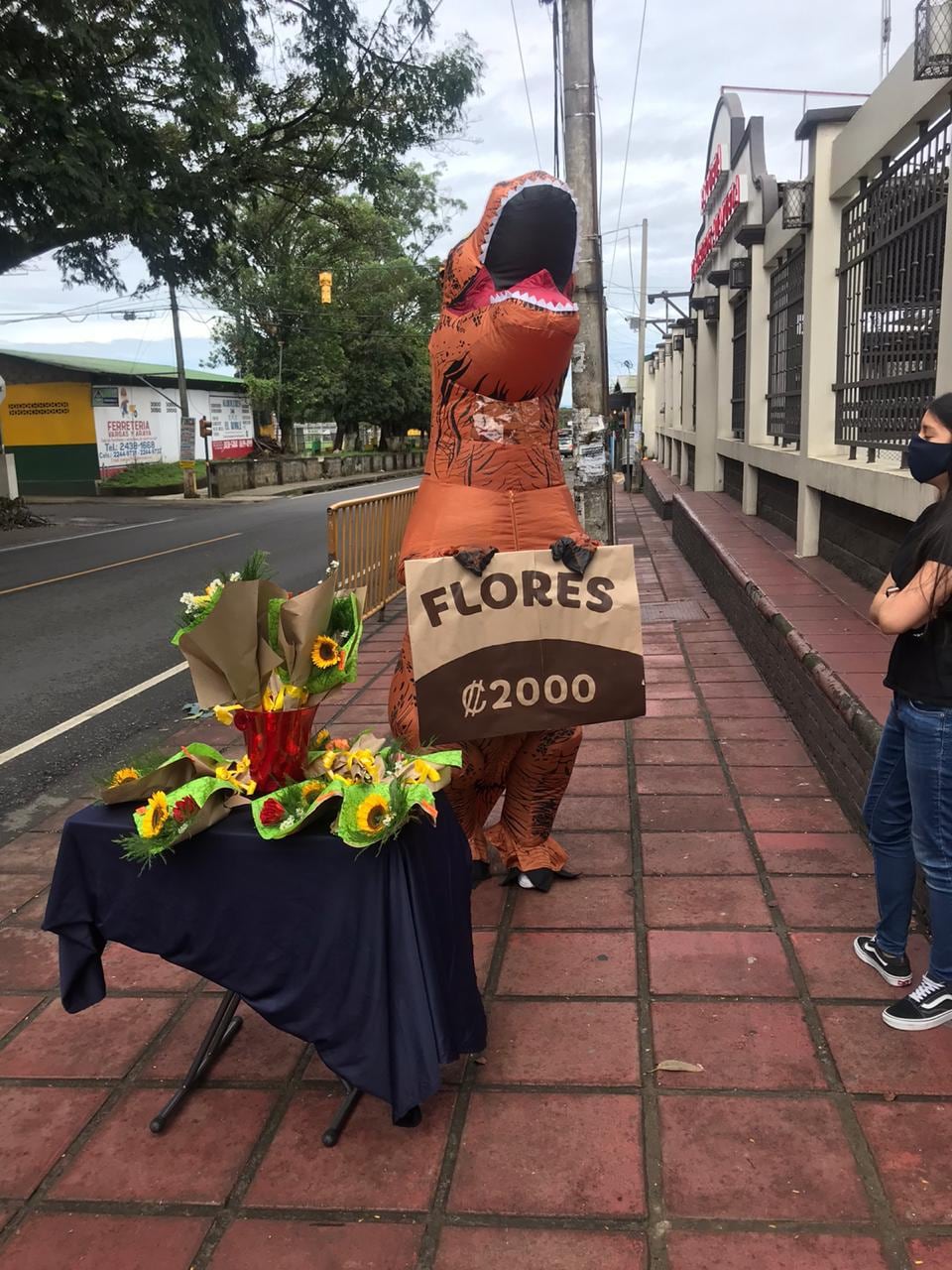De vender flores en la calle dentro de un traje de T-Rex en 2020 a inaugurar una tienda física, T-Rex Tienda de Dinosaurios, especializada en dinosaurios: la historia de superación de una maestra de preescolar Wendy Arauz Madrigal