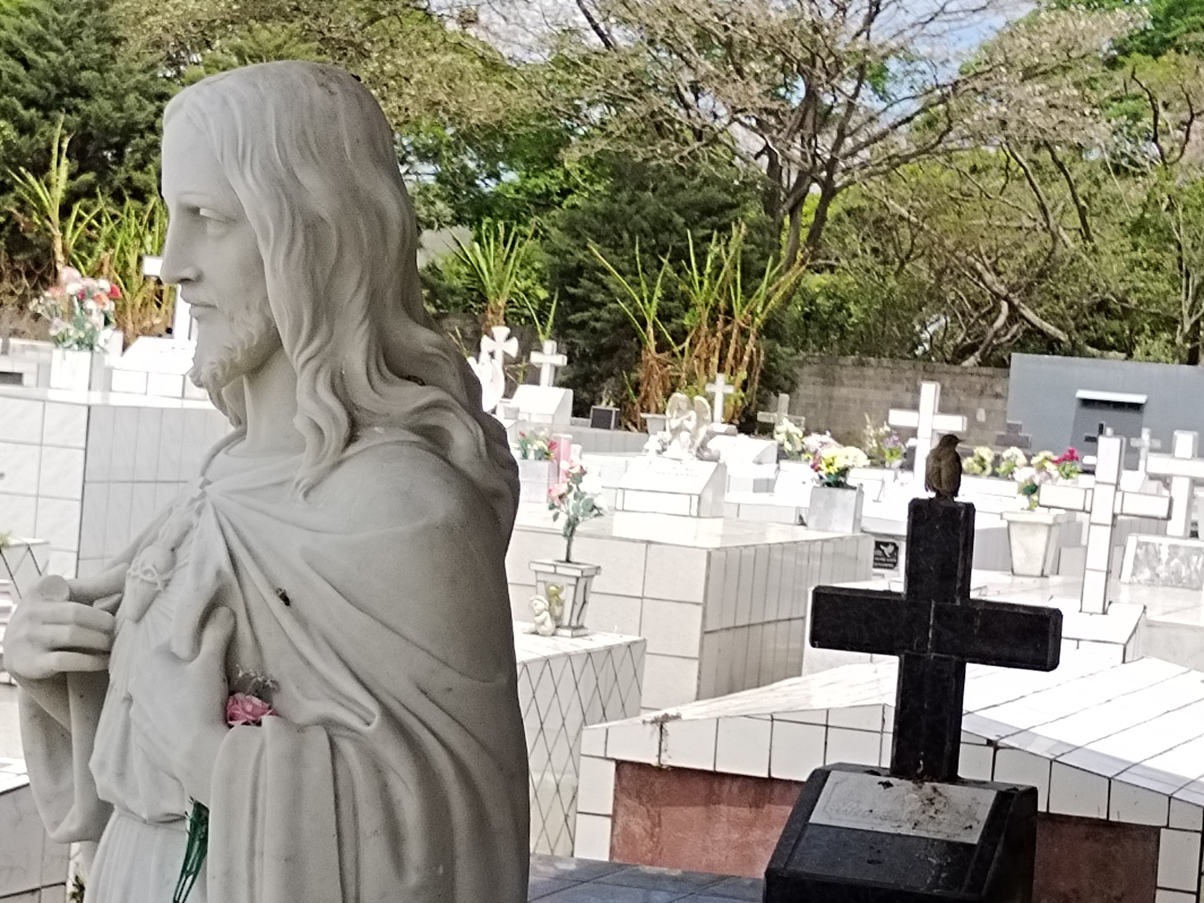 Alexander Jiménez Barahona, nativo de Llano Alexander Jiménez Barahona, nativo de Llano Hermoso de Puriscal, nos abrió las puertas del cementerio Corazón de Jesús de La Uruca y de su experiencia, para entender un poquito mejor ese oficio de panteonero. Hermoso de Puriscal, nos abrió las puertas de “su” cementerio y de su experiencia, para entender un poquito mejor ese oficio de panteonero.