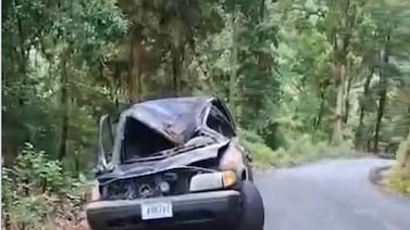 Video muestra como árbol gigante aplastó un carro y el conductor sobrevivió