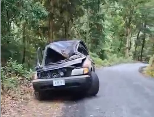 Un árbol aplastó un carro en Santa María de Dota