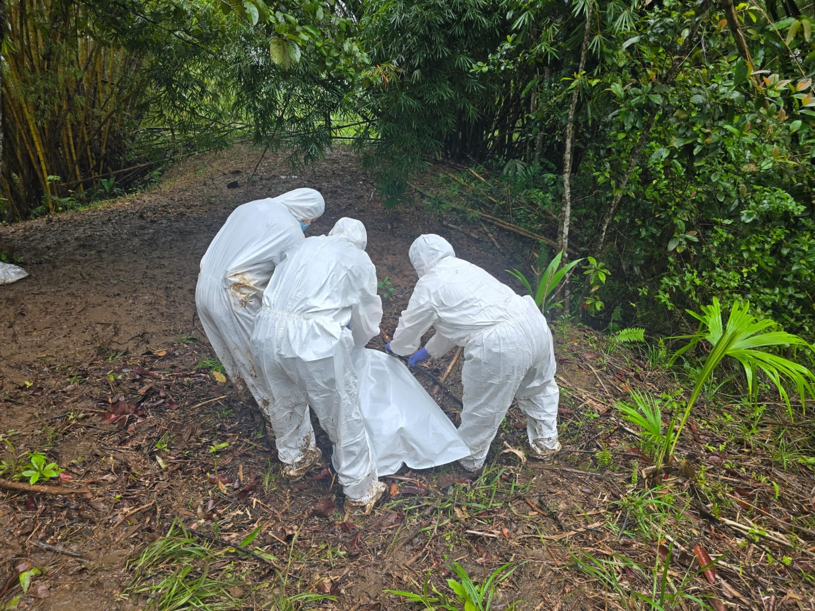 Claudio Francisco Salazar Madrigal, conocido con los alias de Resbaloso o Resba, sería el hombre que encontraron sin vida dentro de una fosa durante un operativo realizado este jueves 27 de agosto en Limón. Foto: OIJ
