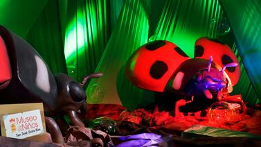 Arañas, ciempiés y saltamontes invadirán el Paseo de las Flores