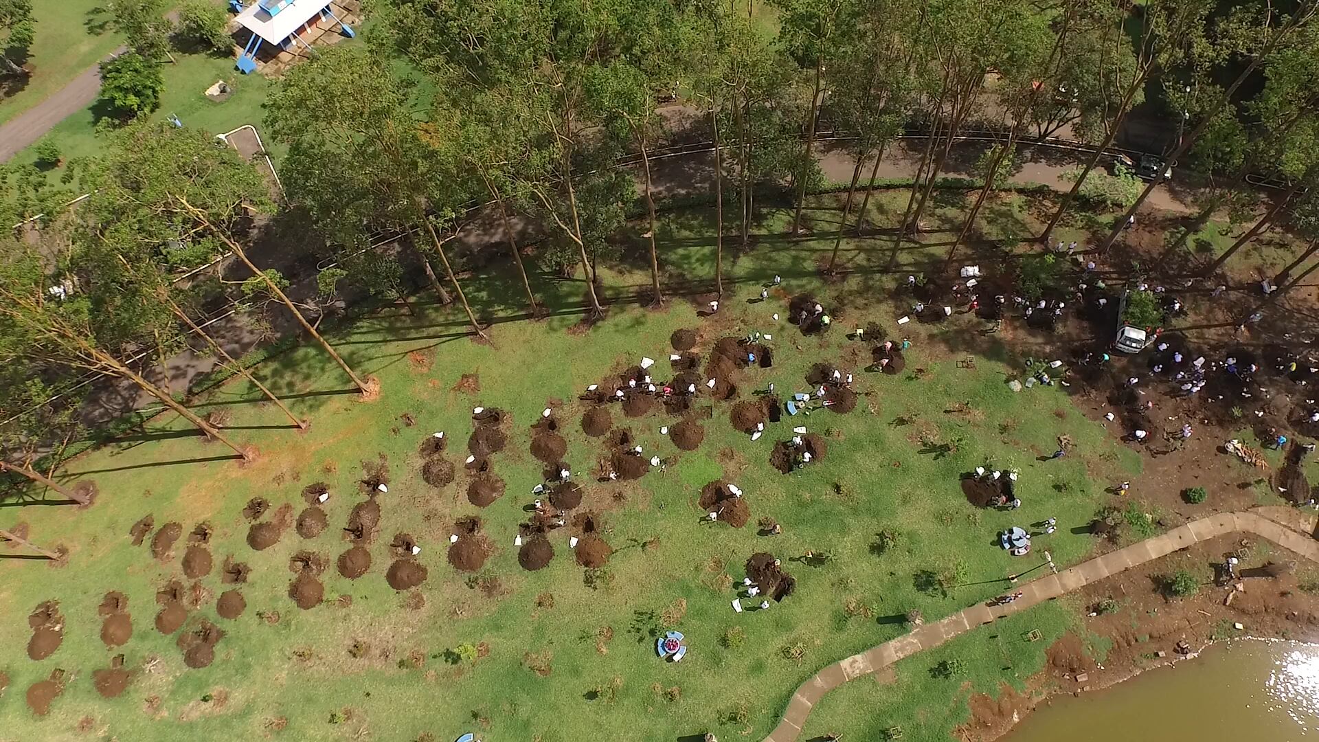 Aprovechando la celebración del Día Nacional del Árbol, que fue este 15 de junio, el Instituto Costarricense del Deporte y la Recreación (Icoder) y el Scotiabank, confirmaron que después de 13 años finaliza el proyecto de arborización “Una Nueva Sabana” en Parque Metropolitano La Sabana.