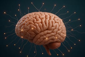 Neurocientífica sacude al mundo: “El reguetón activa más zonas del cerebro que la música clásica”