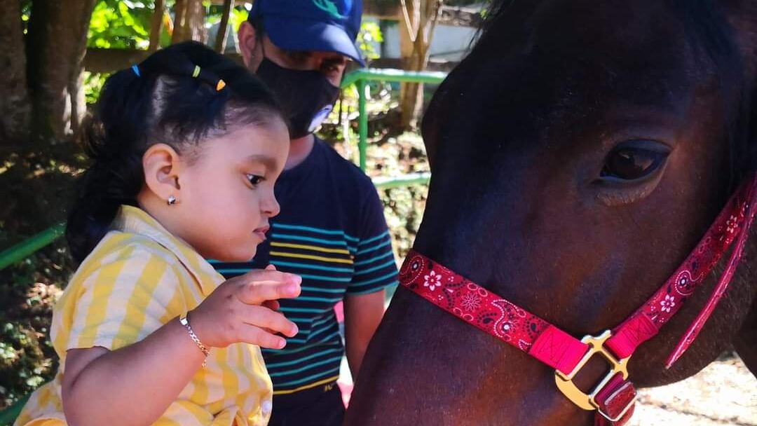 Asotequi brinda terapia con caballos a niños y adolescentes con algún tipo de discapacidad.