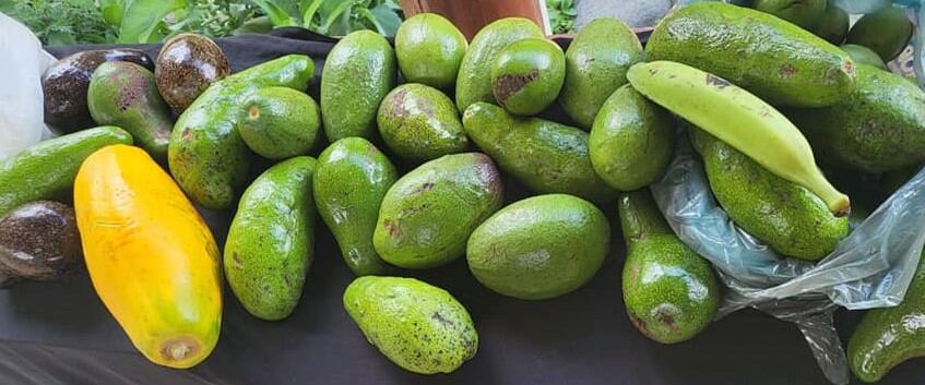 En la feria podrá encontrar una variedad de producto fresco típico de la comunidad.
