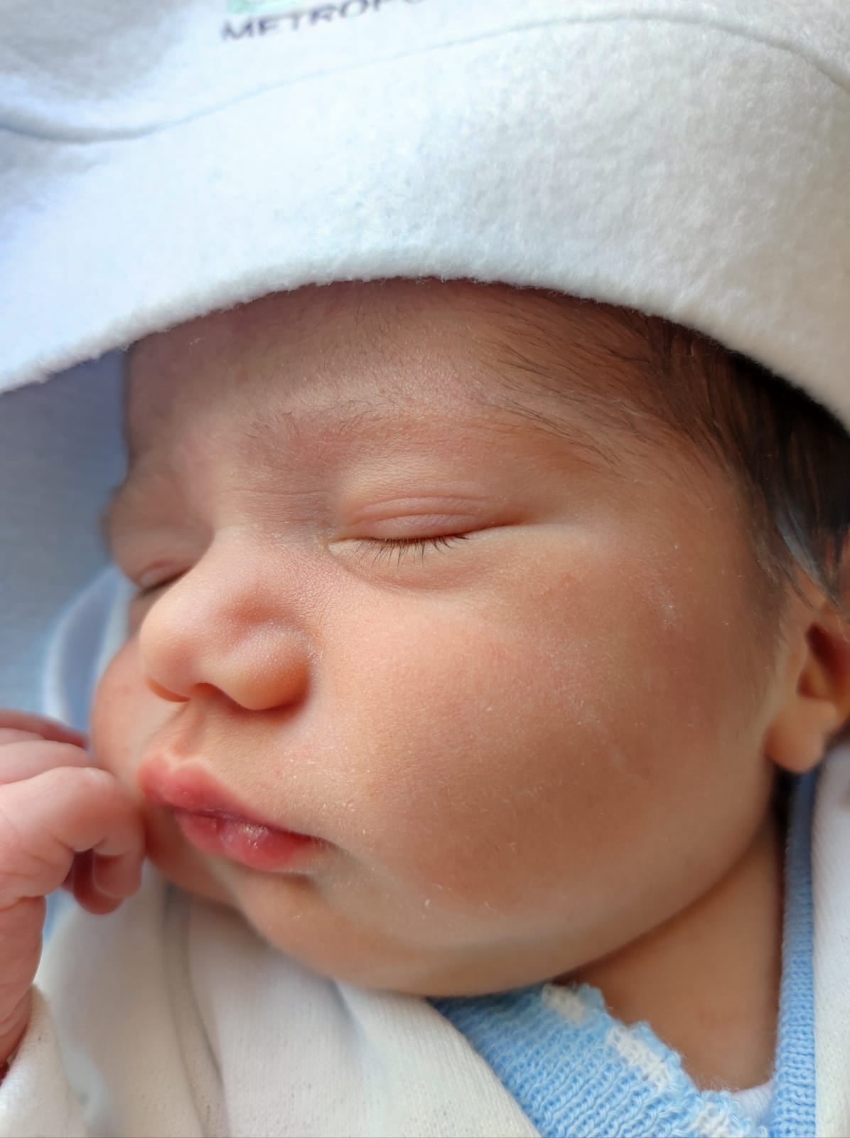 Socios manudos más jóvenes. Cortesía.