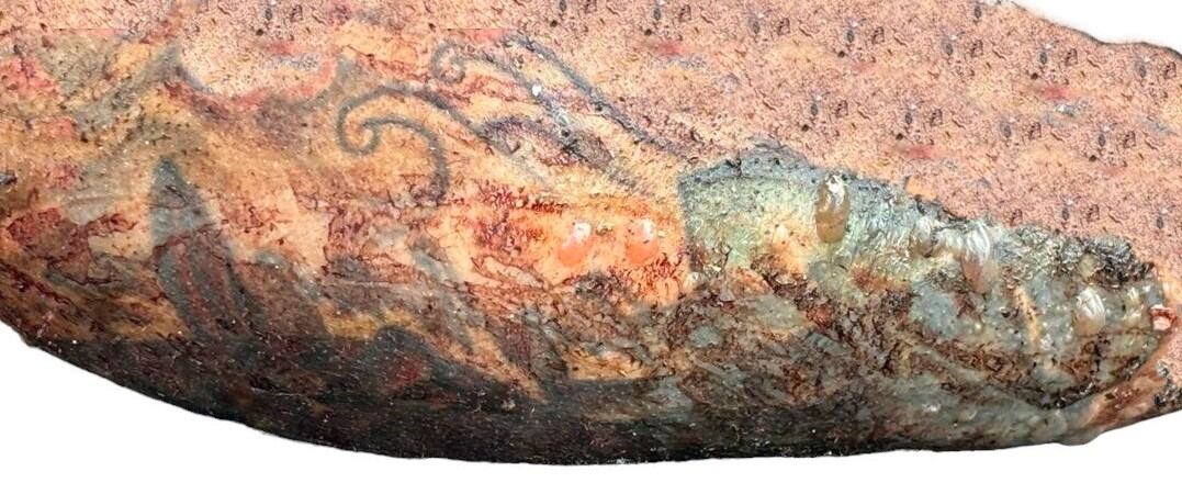 Dos tatuajes es lo único que quedó visible en el cuerpo de un hombre que mataron y prendieron fuego en Los Coyotes de Liberia, Guanacaste. Foto: OIJ