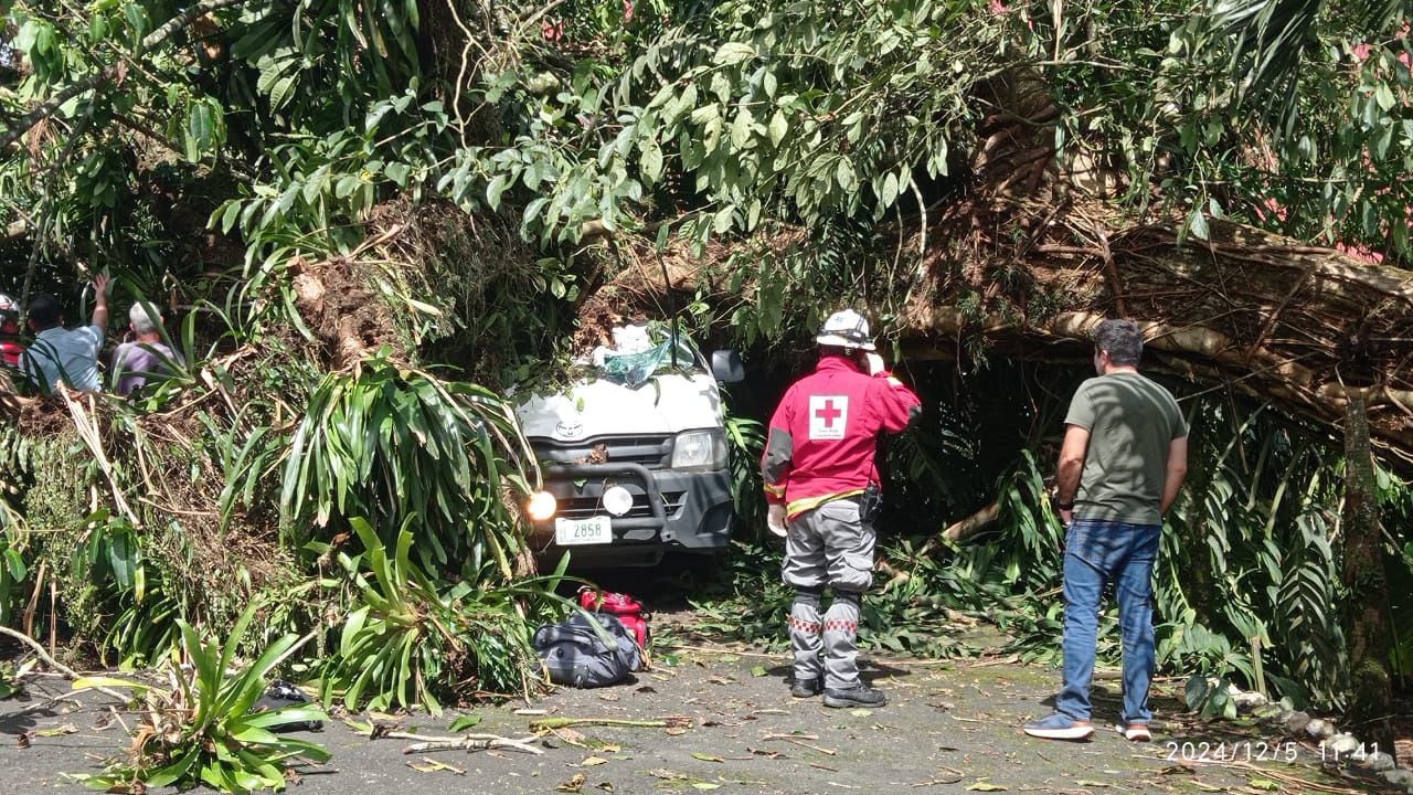Árbol cae sobre ambulancia de la CCSS en Siquirres. Foto: Cruz Roja