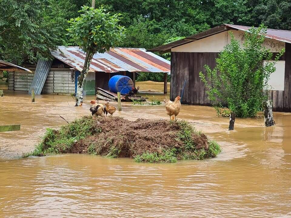 Inundaciones en Boca San Carlos, Boca Tapada, Cureña y Cureñita. Foto Edgar Chinchilla.
