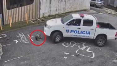 Esto es lo que hizo el OIJ en caso de perro atropellado por policías